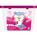 Gallus Color tablety 30 PD – Zboží Mobilmania