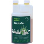 Root&Snoot Zklidnění pro koně sirup 1 l – Hledejceny.cz