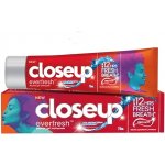 Closeup Everfresh Cool Breeze 90 g – Hledejceny.cz