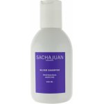 Sachajuan Silver Shampoo 250 ml – Zboží Dáma