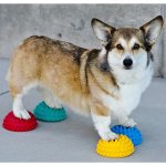 FitPaws balanční čočka halfball – Hledejceny.cz