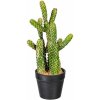 Květina Gasper Umělý kaktus Euphorbia, 25 cm