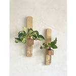 BotaneryLab Nástěnná stanice pro zakořenění rostlinných řízků VERTICAL jasan WoodenBotanery – Hledejceny.cz