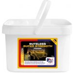 EQUINE AMERICA Buteless Super strenght na klouby bez bolesti a bez zánětu s boswelií a kurkumou 500 g – Hledejceny.cz