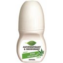 Deodorant Bione Cosmetics Antiperspirant + deodorant for Women roll-on zelený 80 ml