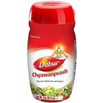 Dabur Chyawanprash Čavanpraš imunita obranyschopnost vitalita 1 kg – Hledejceny.cz