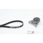 Sada žebrovaných klínových řemenů CONTINENTAL CTAM 4PK855K1 – Zboží Mobilmania