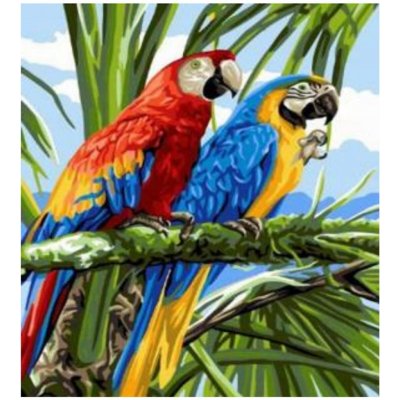 Norimpex Diamantové malování Papoušci ve větvích 30 x 40 cm – Sleviste.cz