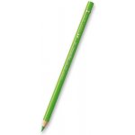 Faber-Castell Polychromos 1101 trávníková zelená 166 – Sleviste.cz