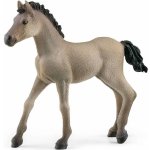 Schleich 13949 Hříbě Criollo Definitivo – Sleviste.cz