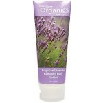 Desert Essence Levandule tělové mléko 236 ml – Hledejceny.cz