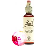 Bachovy květové esence Modřín opadavý Larch 20 ml – Hledejceny.cz