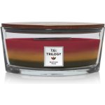 WoodWick Trilogy Hearthside Foyer 453,6 g – Zboží Mobilmania