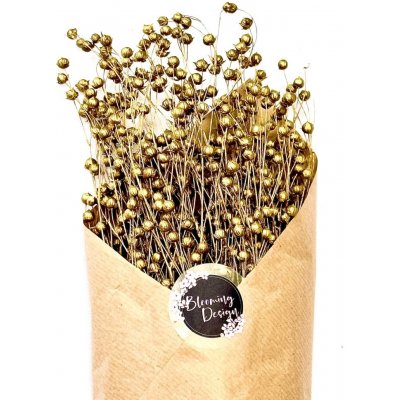 Sušený len zlatý, kytice/svazek 50g – Zboží Dáma