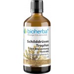 Bioherba Kapky na štítnou žlázu s extraktem z mořské řasy tinktura 100 ml – Hledejceny.cz