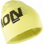 Salomon Hermitage beanie LC2152700 charlock – Hledejceny.cz