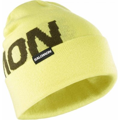 Salomon Hermitage beanie LC2152700 charlock – Hledejceny.cz