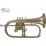 Roy Benson Bb- FH-302G Pro série – Zboží Dáma