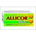 Naturvita Allicor forte 19g 60 tablet – Hledejceny.cz