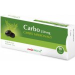 Moje lékárna Carbo Medicinalis 300 mg 20 tablet – Hledejceny.cz