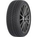 Gripmax Pro Winter 245/35 R20 95V