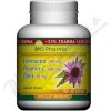 Vitamín a minerál Echinacea 100mg+Vit.C 500mg+Zinek10mg 90+30 tablet