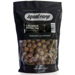 Squat Carp Hotové Boilies Calanus 1 kg 20 mm – Sleviste.cz