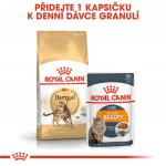 Royal Canin Bengal 10 kg – Hledejceny.cz