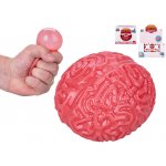 Míček antistresový strečový mozek mačkací bublinový v krabičce – Zboží Dáma