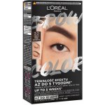 L'Oréal Paris Brow Color Semi-Permanent Eyebrow barva na obočí Tint 3.0 Dark Brunette 1 ml – Sleviste.cz