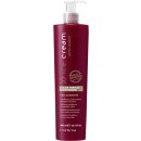 Inebrya Pro-Color Color Perfect Conditioner 300 ml