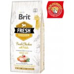 Brit Fresh Chicken with Potato Adult Great Life 12 kg – Zbozi.Blesk.cz