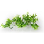 Unionstar Ficus M 30 cm – Zboží Dáma