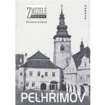 Zmizelé Čechy - Pelhřimov - Miroslava Kvášová – Hledejceny.cz