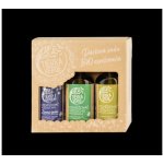 Tierra Verde Sada osvěžovačů vzduchu - K provonění zimních dní 4 x 100 ml – Zboží Dáma