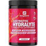 BodyWorld Electrolytes Hydralyte 500 g – Zboží Mobilmania