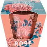 Bartek Candles Blooming Season Rose 115 g – Zboží Dáma