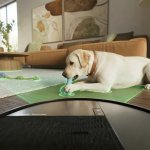 iRobot Roomba Plus 515 Combo + AutoWash dock Black – Zboží Mobilmania