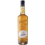 Giffard Banana liquer 25% 0,7 l (holá láhev) – Hledejceny.cz