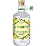 Endorphin Lemon Demon Gin 43% 0,5 l (holá láhev) – Zboží Dáma