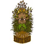 Exotic Seeds Dr. Greenman Pure CBD semena neobsahují THC 3 ks – Hledejceny.cz