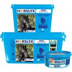 Horslyx Mint 0,65 kg – Zboží Mobilmania