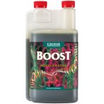 Canna Boost 250 ml – Hledejceny.cz