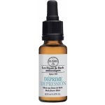 Bachovy květové esence Deprese Depression 20 ml – Hledejceny.cz