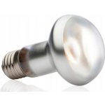 Hagen Day Glo Tight Beam 50 W – HobbyKompas.cz