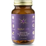 NaturLabs Kyselina hyaluronová + Vitamin C liposomální 30 kapslí – Hledejceny.cz