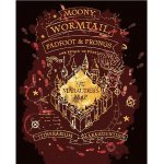 ZUTY Malování podle čísel POBERTŮV PLÁNEK HARRY POTTER – Hledejceny.cz