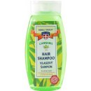 Šampon Palacio konopný vlasový šampon 250 ml