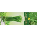 Sree Vari Vonné tyčinky Seven Herbs 20 ks – Hledejceny.cz