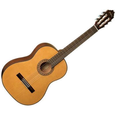 Washburn C40-A-U – Zboží Mobilmania